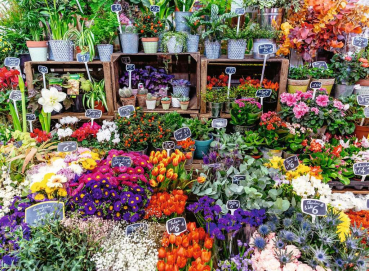 Ravensburger 12001815 Puzzle - Blumenmarkt, Frankreich