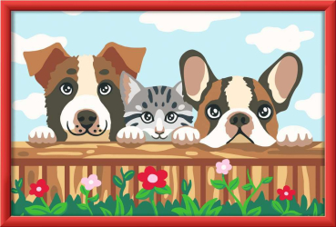 Ravensburger 23855 Malen nach Zahlen - Hunde und Katze