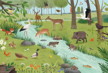 Preview: Schmidt-Spiele 56581 Kinderpuzzle - Wald- und Wiesentiere